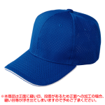 ロイヤルブルー
