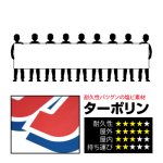 ホワイト