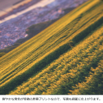 ファブリックパネル（B2）