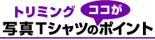 g~Oʐ^TVc̃|Cg