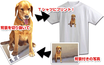 g~Oʐ^TVcC[W