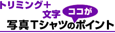 g~Oʐ^+TVc̃|Cg