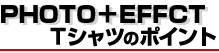 �ʐ^T�V���c�̃|�C���g