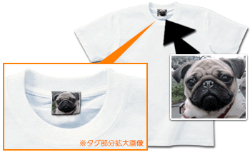 �ʐ^�^�O�t�����n�s�V���c