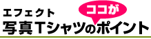 �G�t�F�N�g�ʐ^T�V���c�̃|�C���g