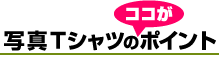 �ʐ^T�V���c�C���[�W