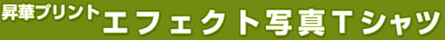 �G�t�F�N�g�ʐ^T�V���c