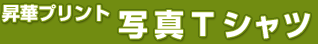 �ʐ^T�V���c